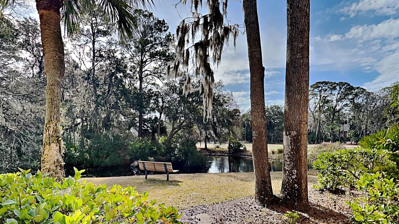 Photo of Outdoor in Shipyard Plantation