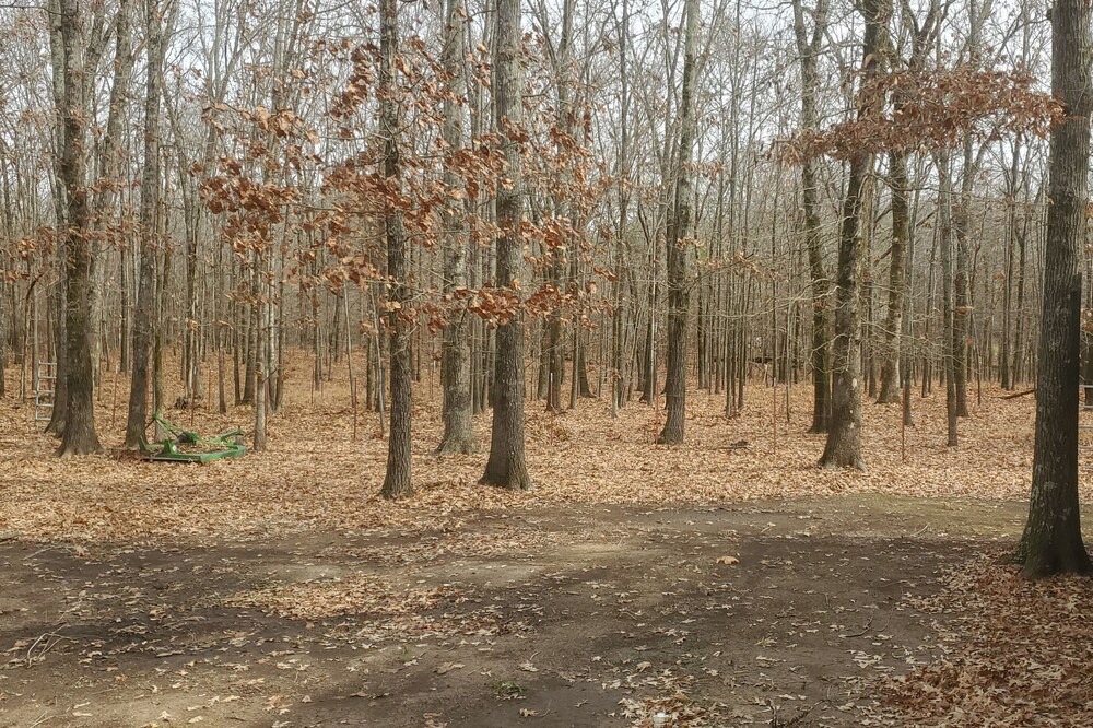 Photo of Outdoor in Crocketts Bluff