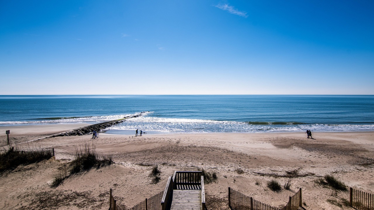 Photo of Others in Edisto Island