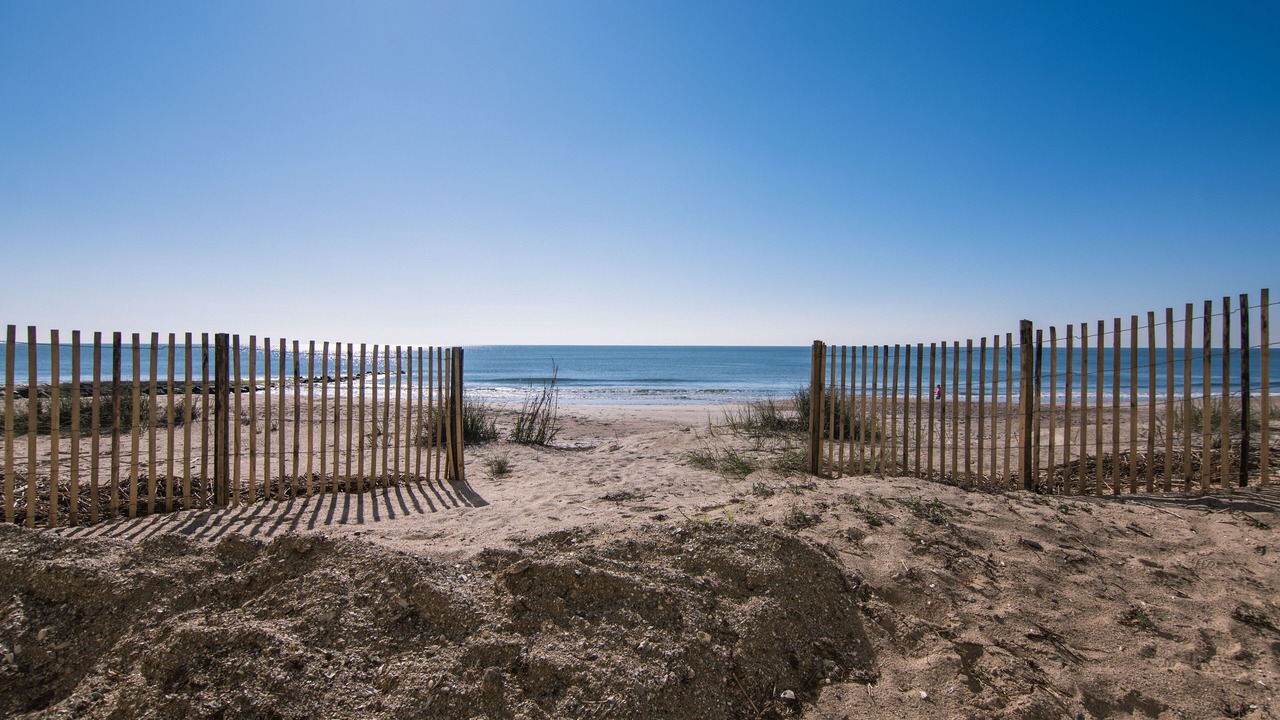 Photo of Others in Edisto Island