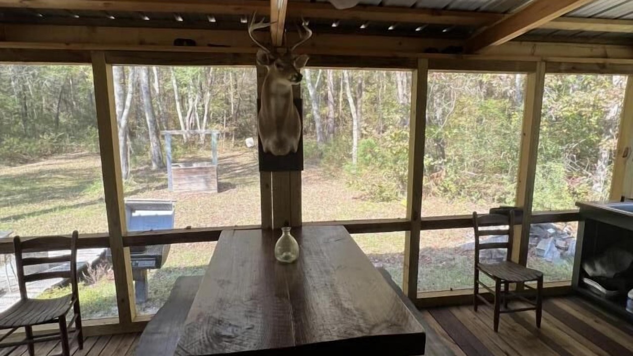 Photo of Outdoor in Sylvania