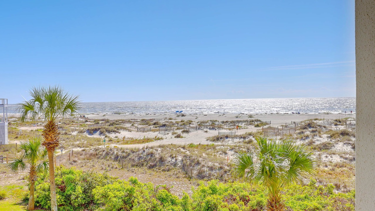 Photo of Others in Isle of Palms