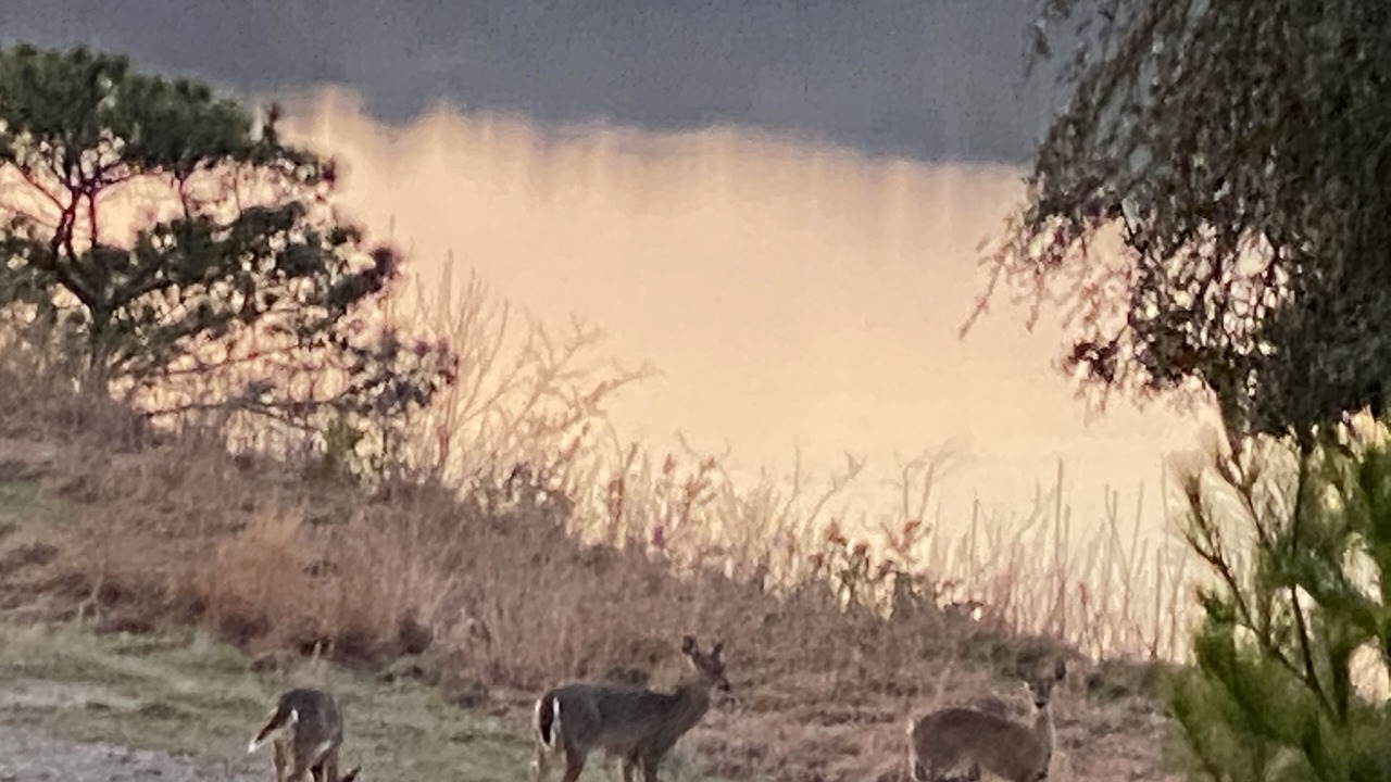 Photo of Outdoor in Jones Mills