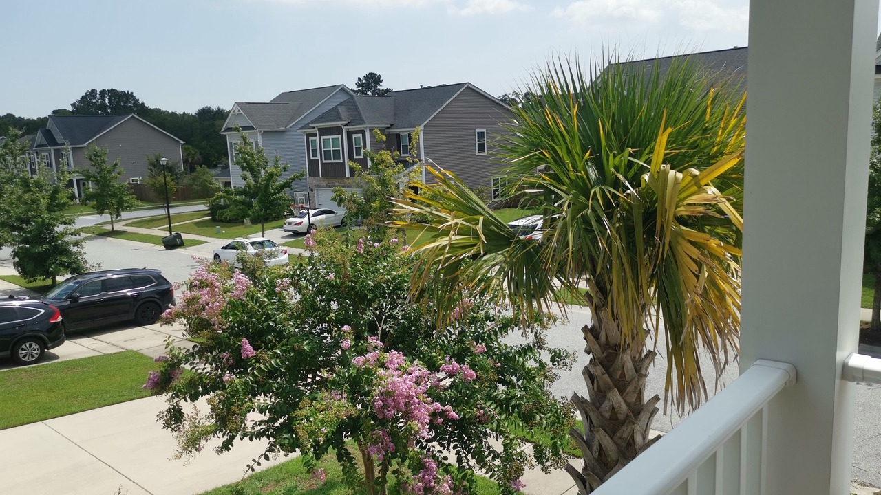 Photo of Outdoor in Johns Island