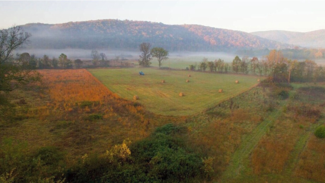 Photo of Others in Ozark