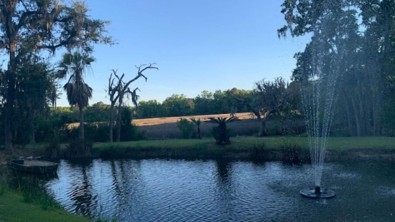 Photo of Others in Johns Island