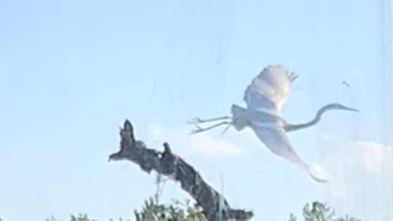 Photo of Outdoor in Johns Island