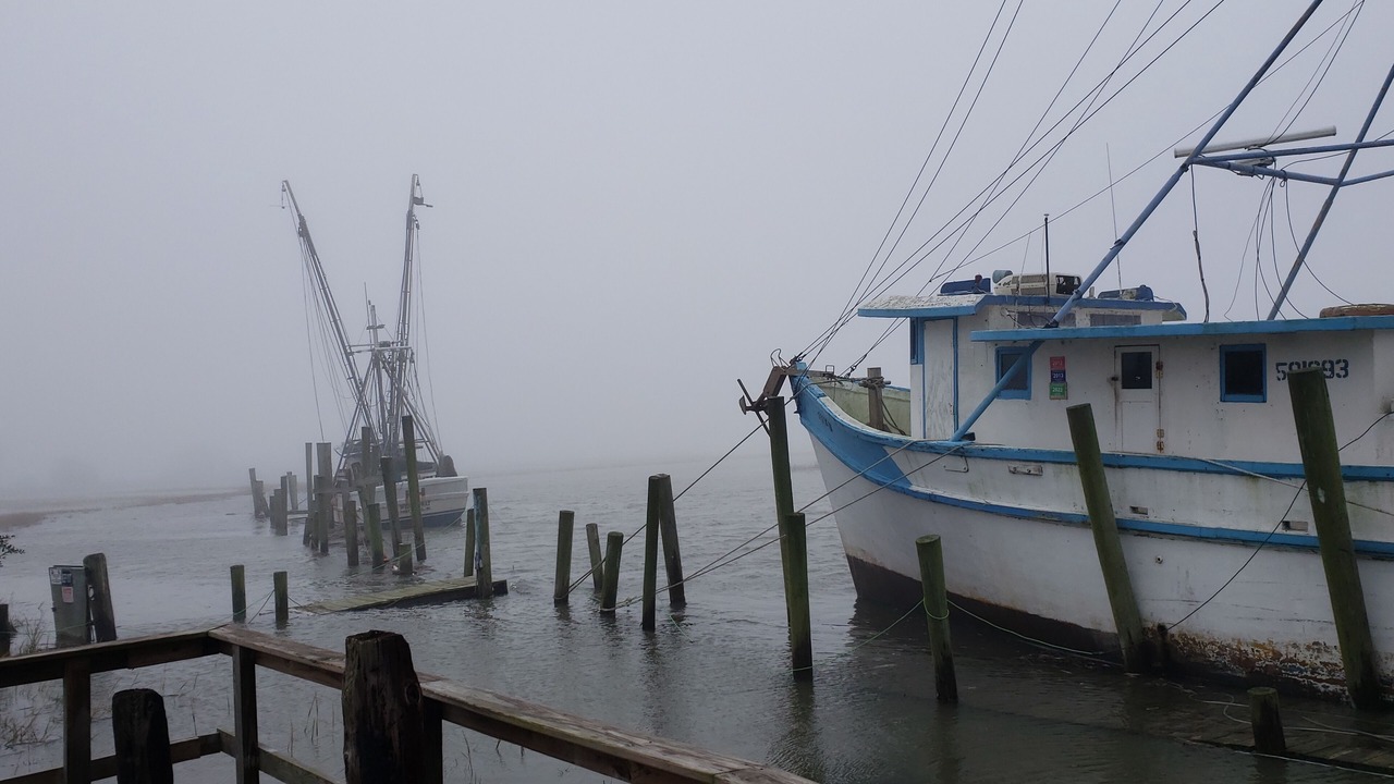 Photo of Others in Beaufort