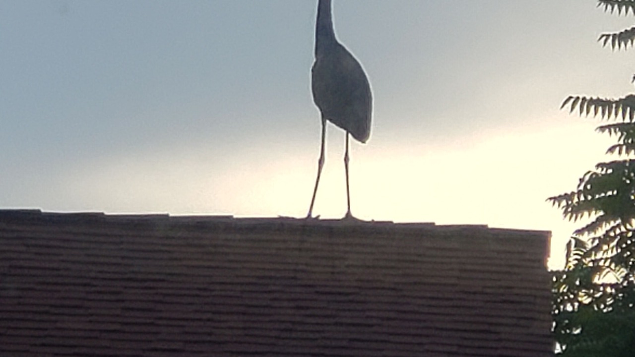 Photo of Outdoor in Beaufort