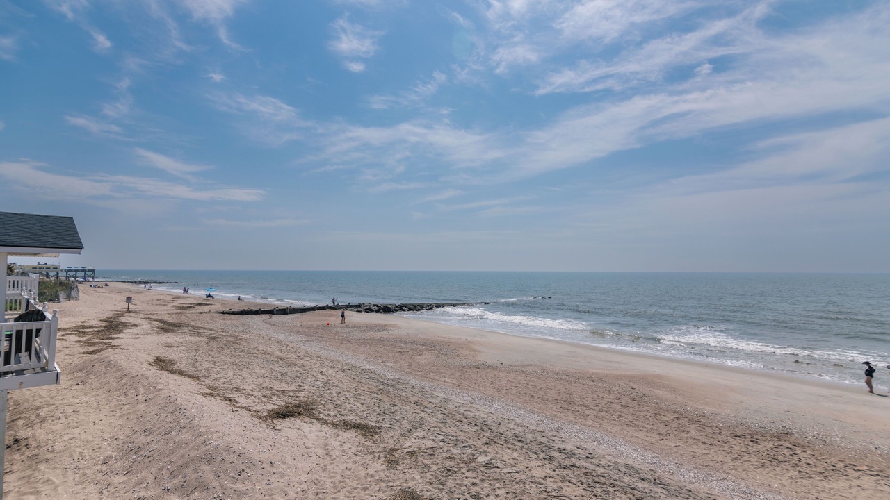Photo of Others in Edisto Island