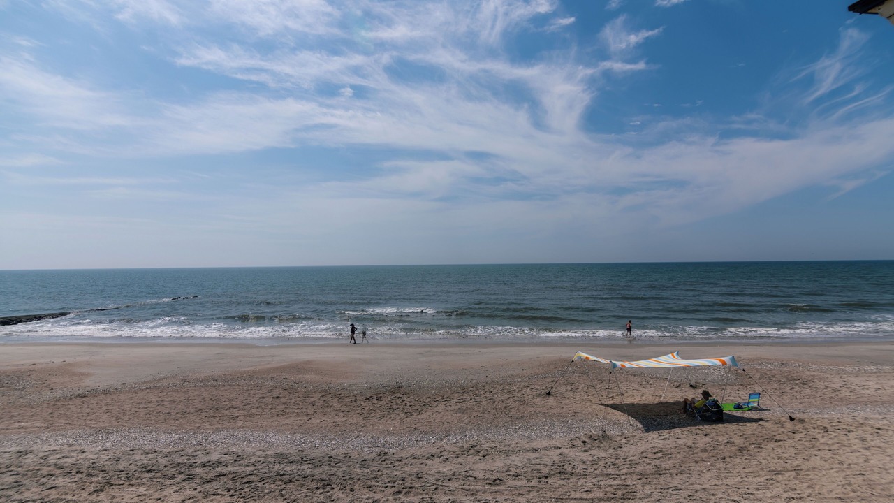 Photo of Others in Edisto Island