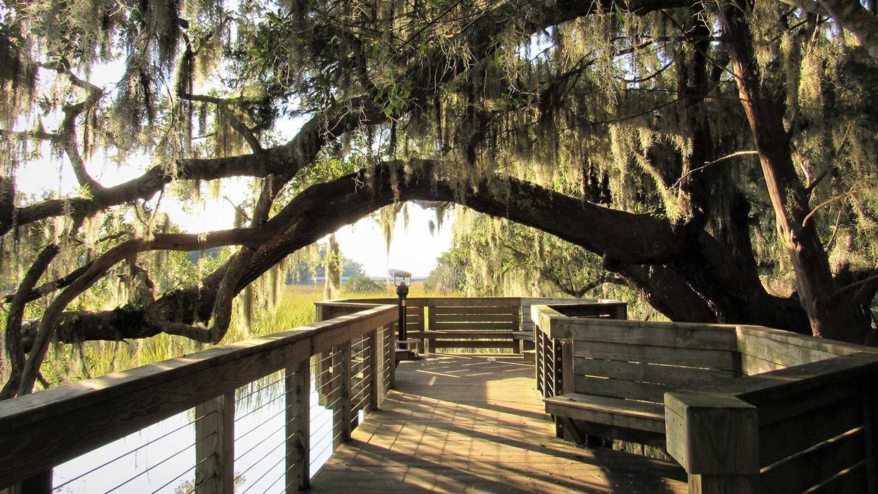Photo of Outdoor in Harbour Town