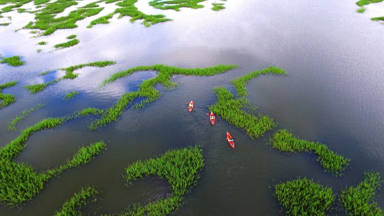 Photo of Outdoor in Harbour Town