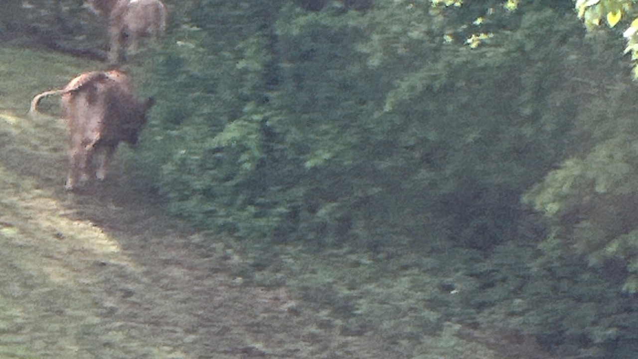 Photo of Others in Harrison