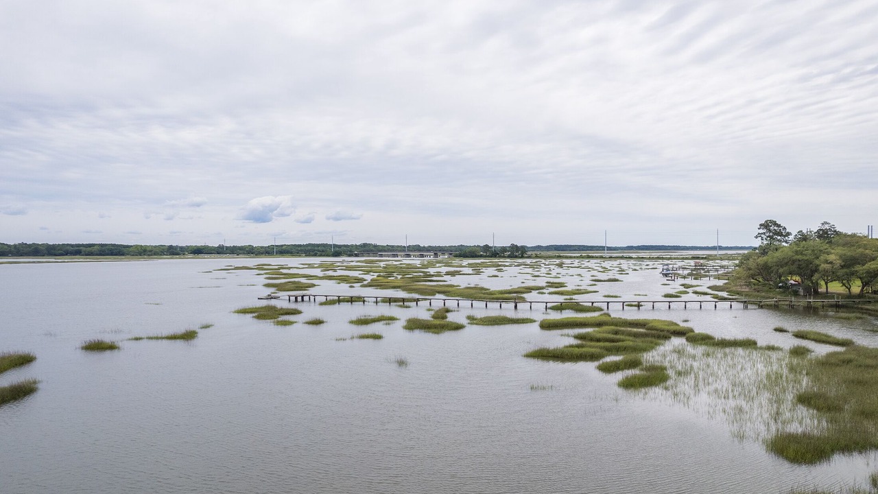 Photo of Others in Seabrook