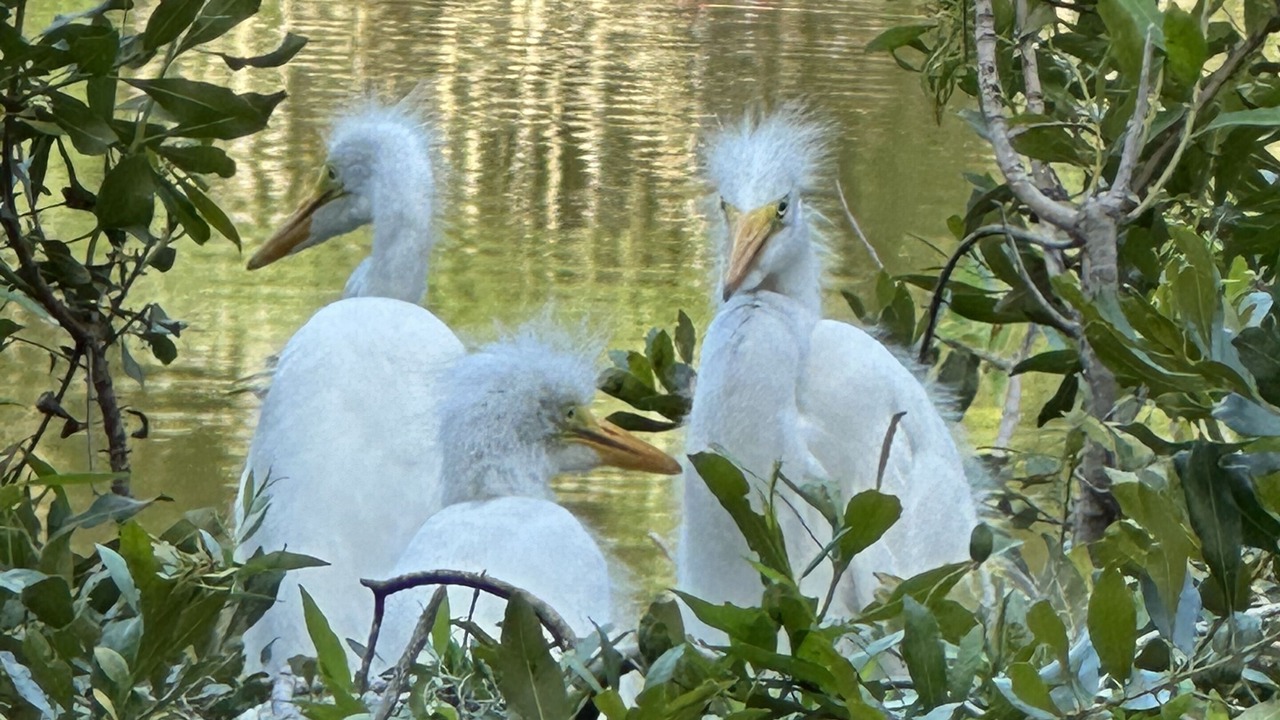 Photo of Others in Okatie