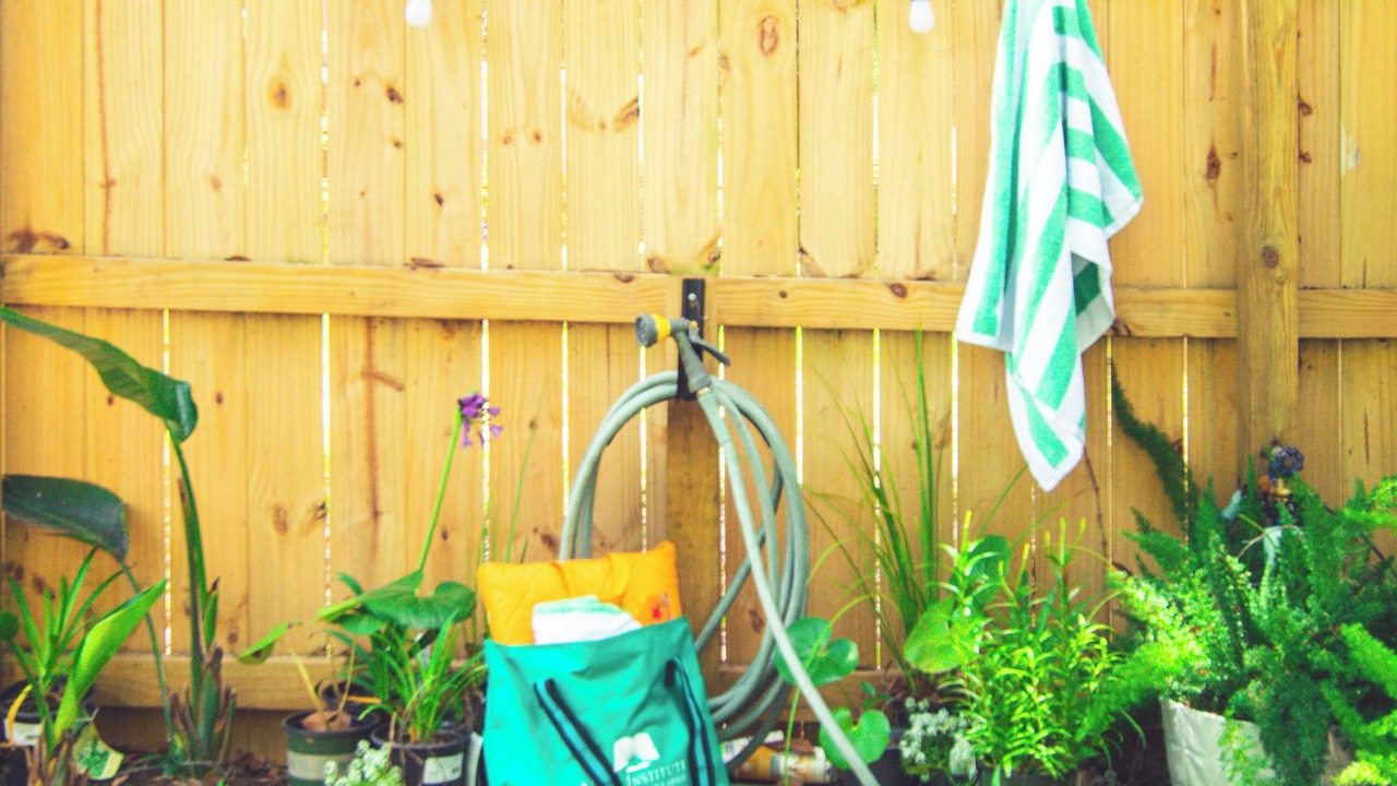 Photo of Outdoor in North Charleston