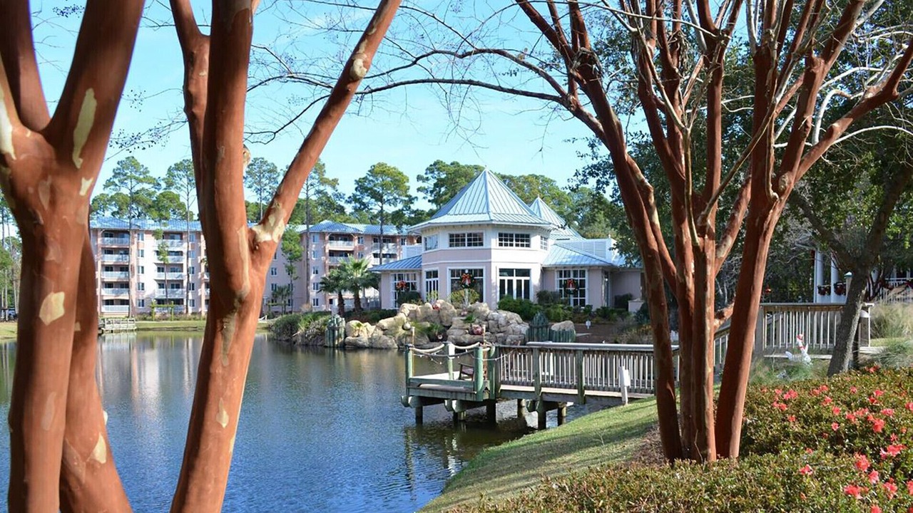 Photo of Outdoor in Palmetto Dunes