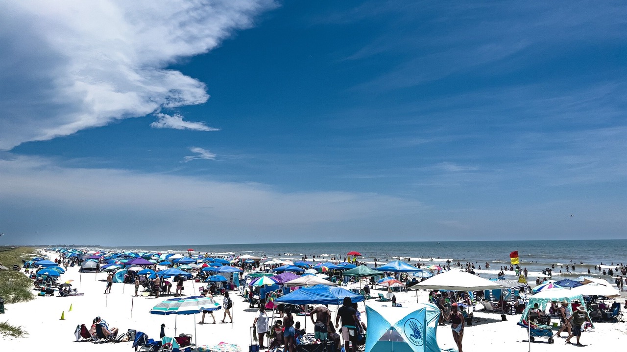 Photo of Others in Isle of Palms