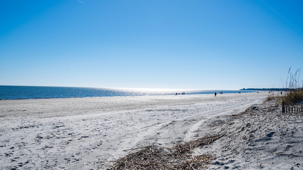 Photo of Others in Folly Field