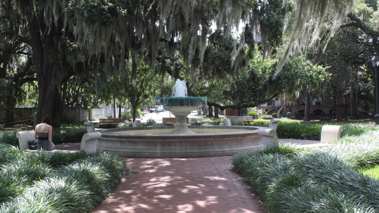 Photo of Others in Savannah