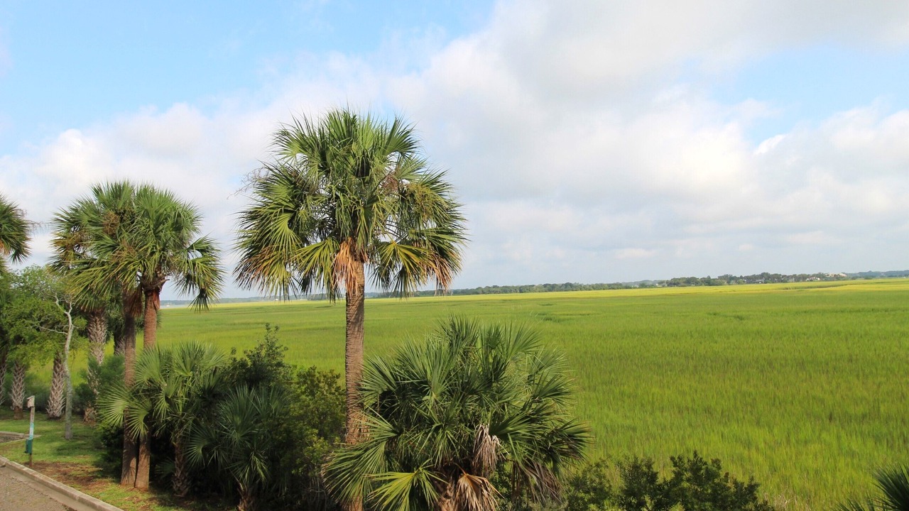 Photo of Others in Folly Beach