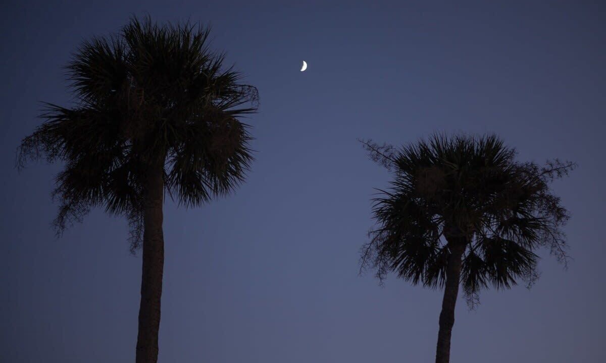 Photo of Others in Ocean Ridge