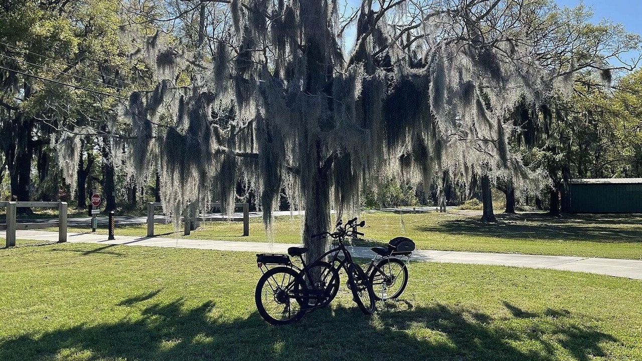 Photo of Others in Port Royal