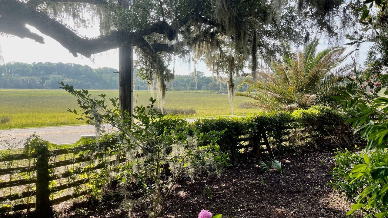 Photo of Outdoor in Meggett