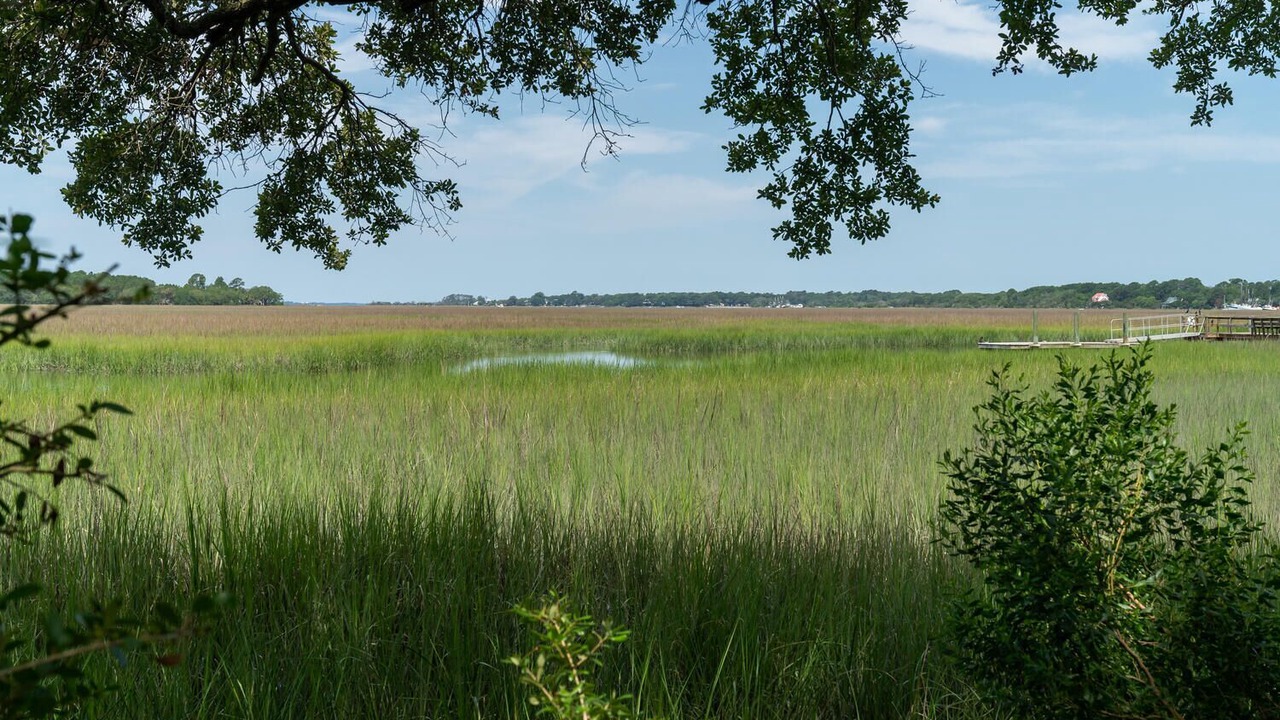 Photo of Others in Seabrook Island
