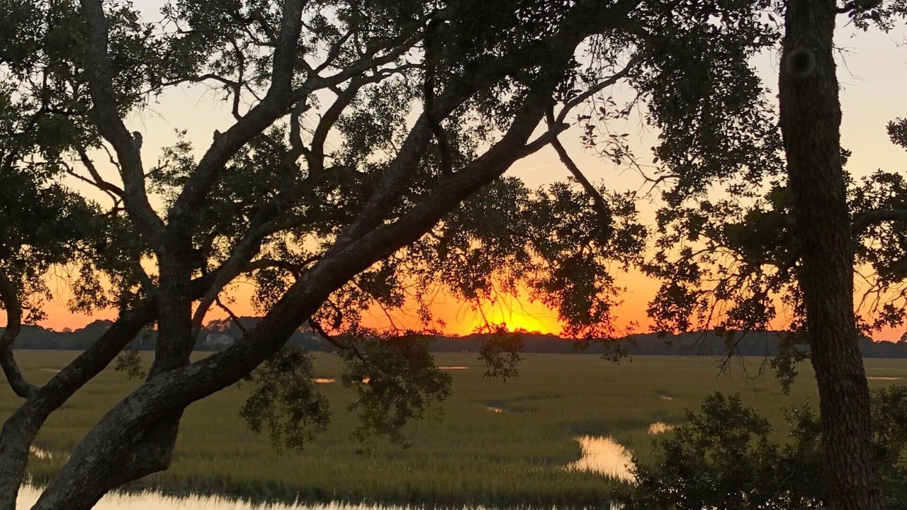 Photo of Others in Seabrook Island