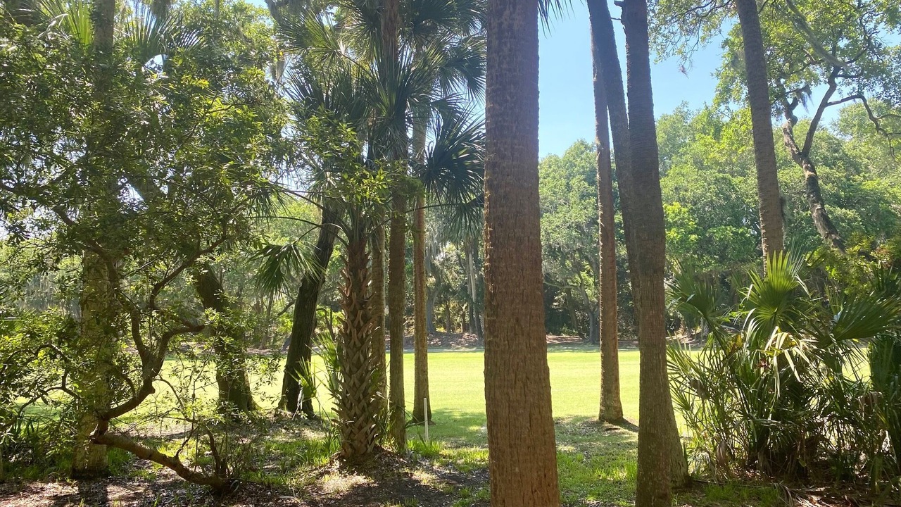 Photo of Outdoor in Seabrook Island