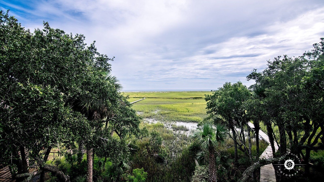 Photo of Outdoor in Edisto Island