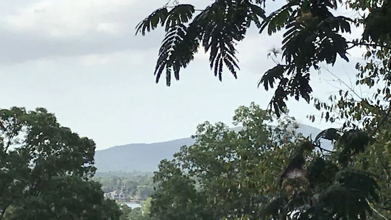Photo of Outdoor in Lake Hamilton
