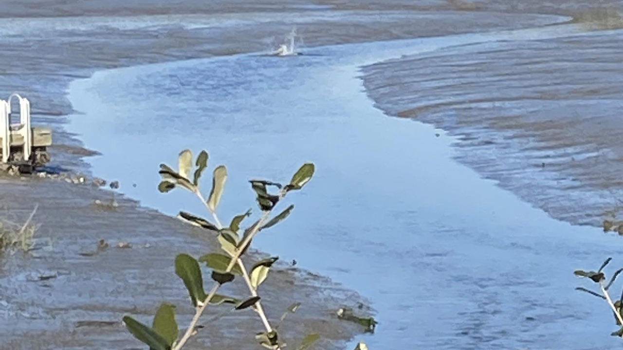 Photo of Others in Edisto Island