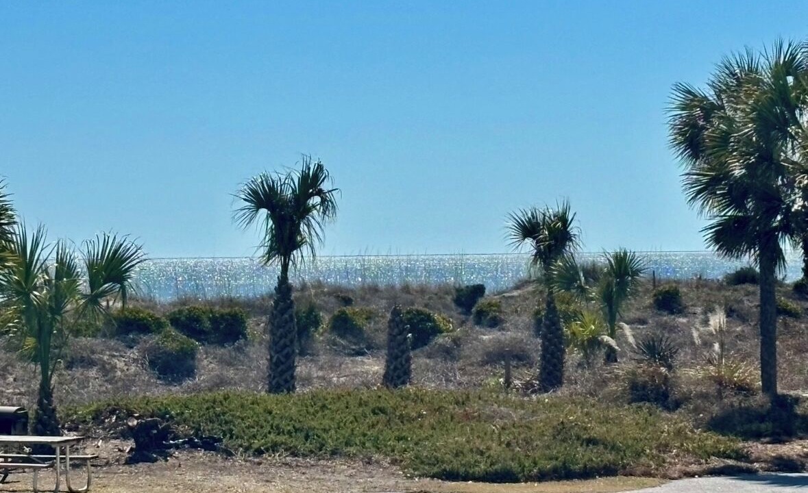 Photo of Patio Balcony in Isle of Palms