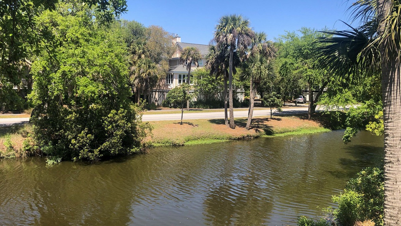Photo of Outdoor in Isle of Palms
