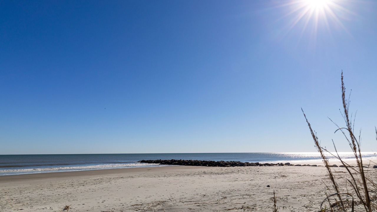 Photo of Others in Folly Beach