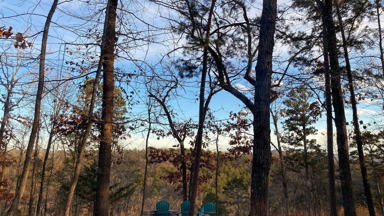 Photo of Outdoor in Bruno