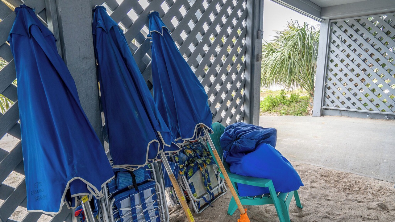 Photo of Outdoor in Edisto Island