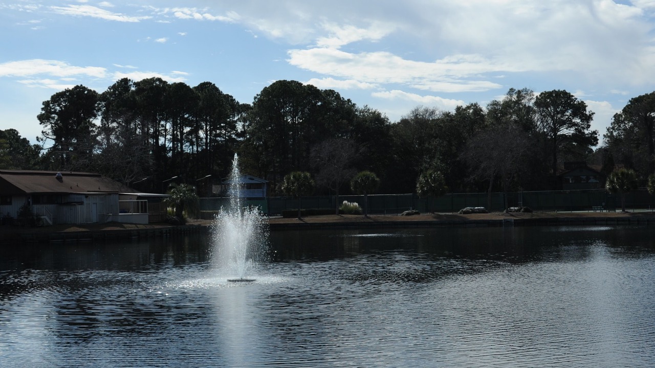 Photo of Others in Folly Field