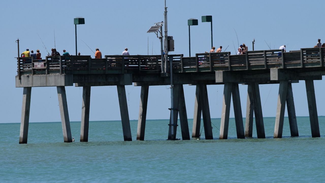 Photo of Others in Warm Mineral Springs