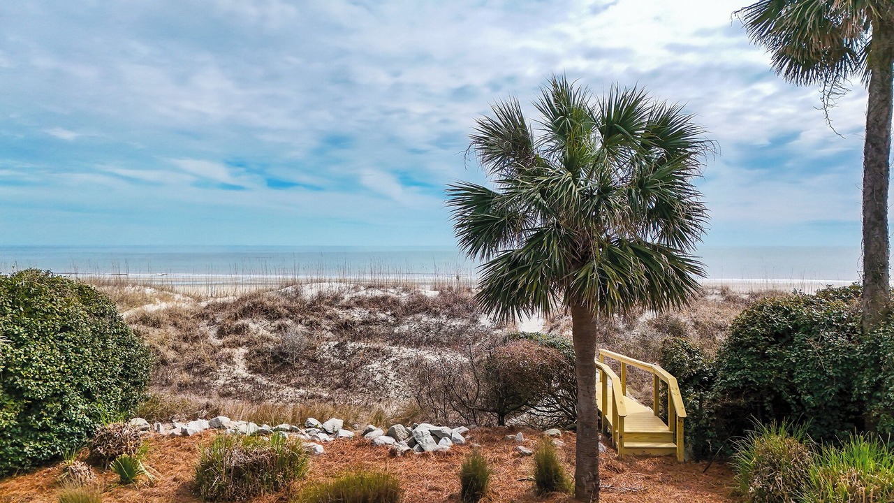 Photo of Others in North Forest Beach