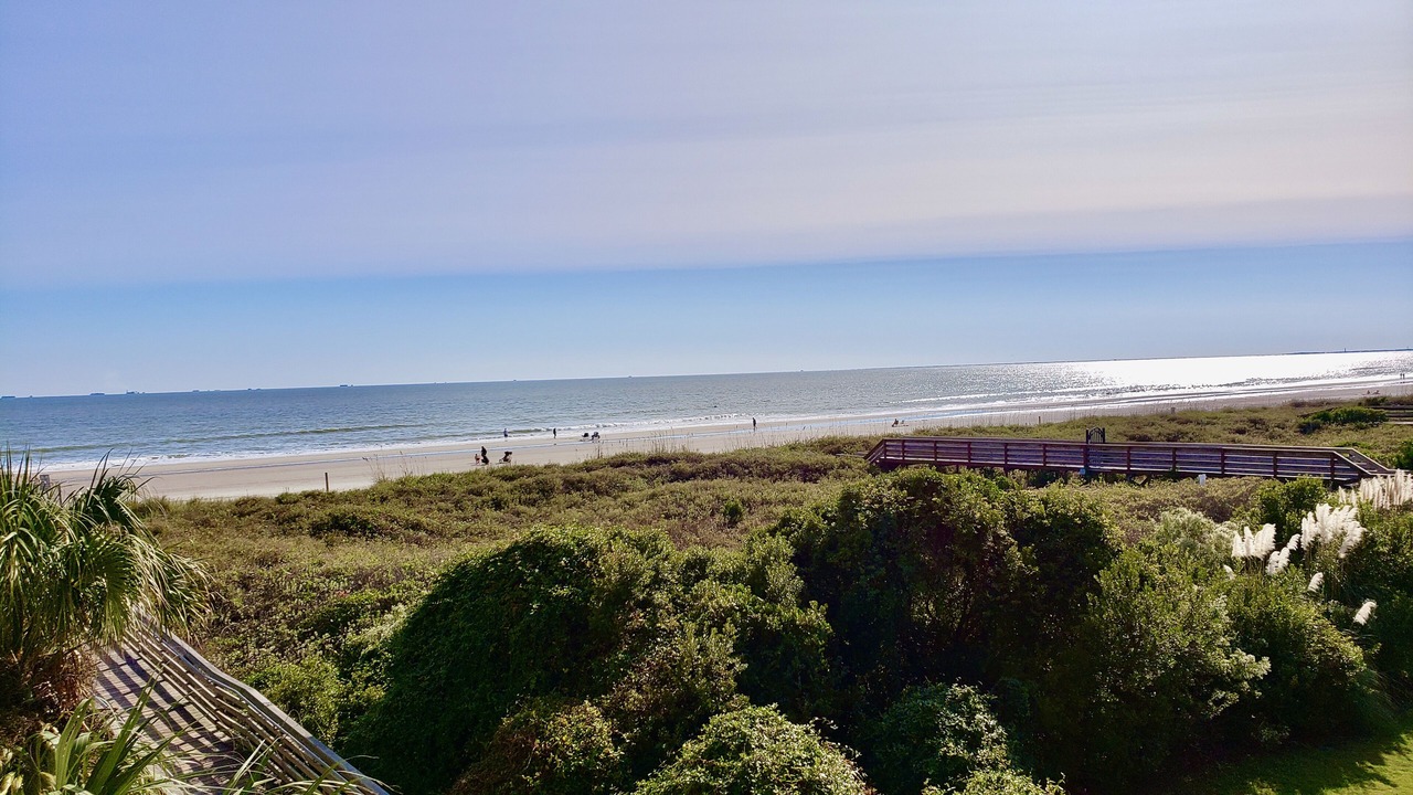 Photo of Others in Isle of Palms