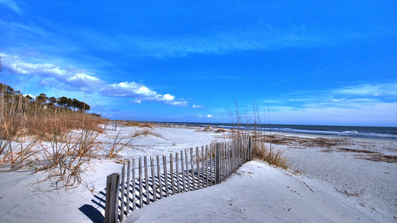 Photo of Others in North Forest Beach