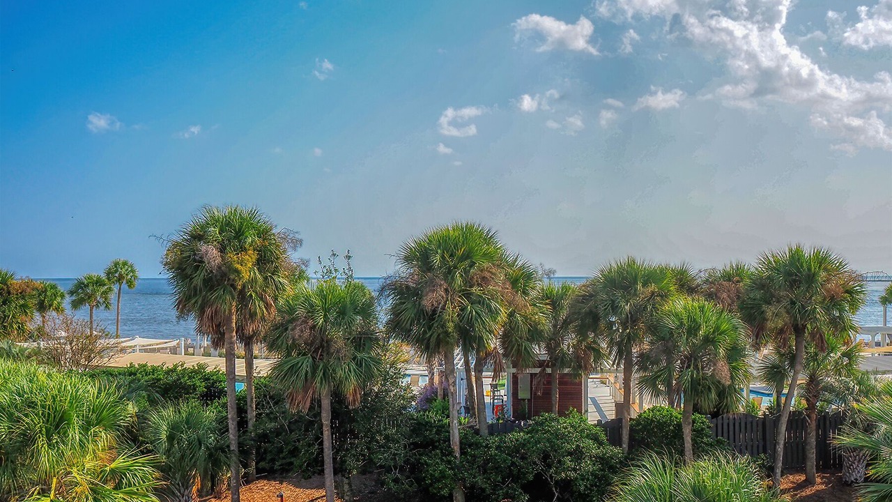 Photo of Others in Seabrook Island