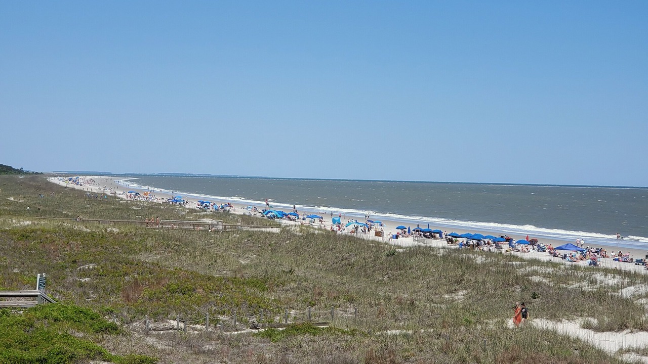 Photo of Others in Folly Field