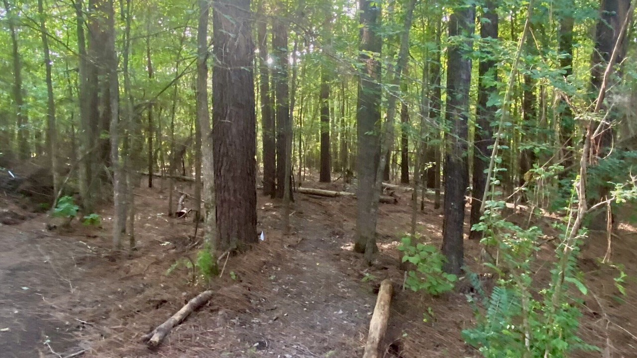 Photo of Others in Mount Ida