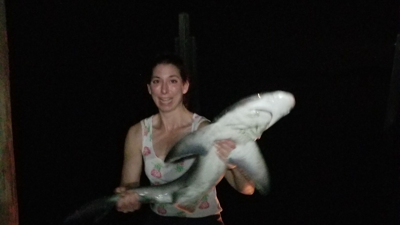 Photo of Others in Saint Helena Island