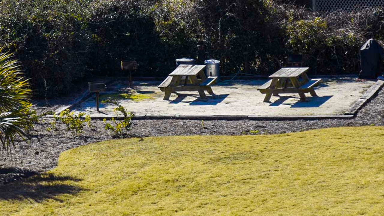 Photo of Outdoor in Folly Field